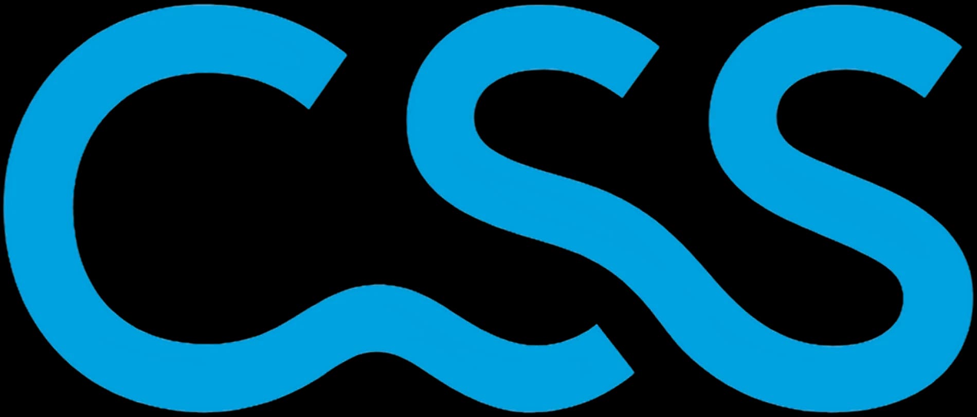 CSS logo