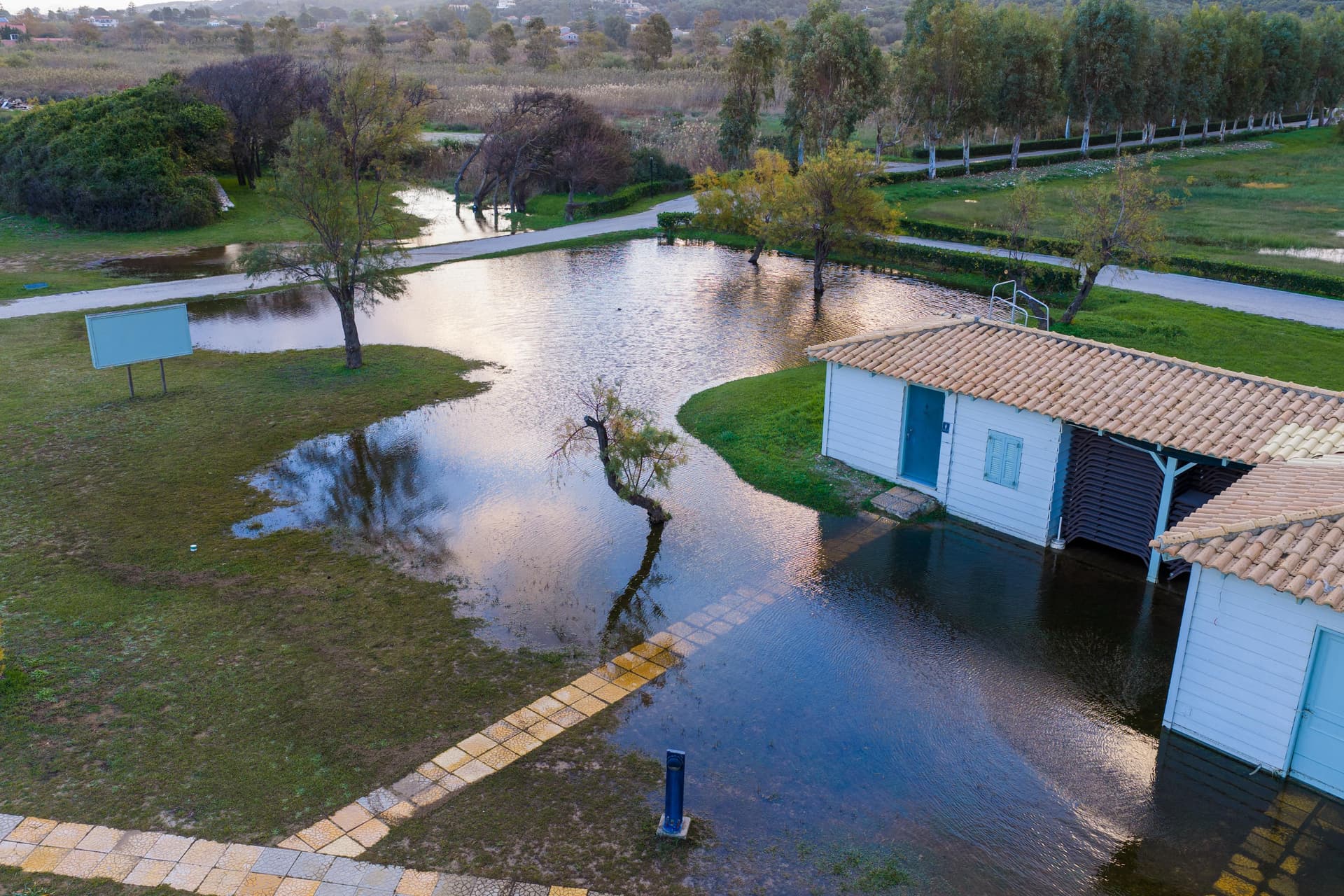 Assurance Genevoise Article Assurance Genevoise Article